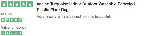 Customer Review 1