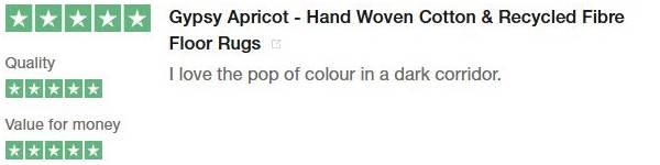 Customer Review 5