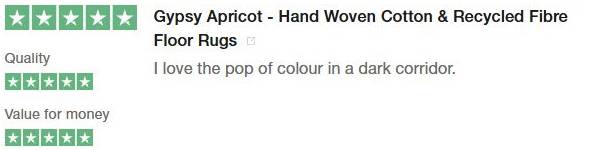 Customer Review 6